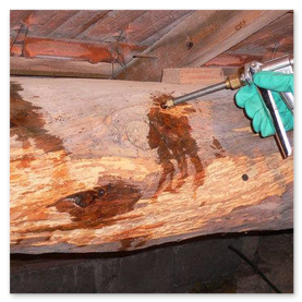 Traitement de charpente en bois